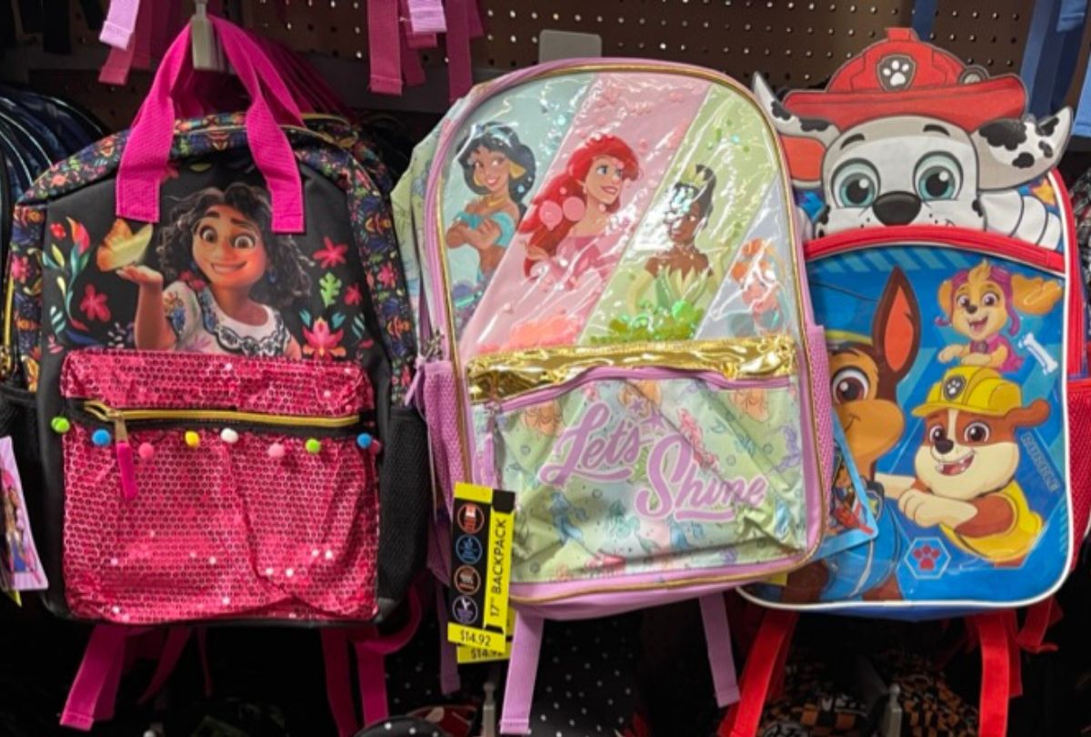 encanto disney princesses and paw patrol backpacks