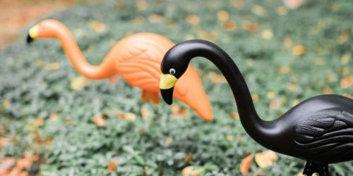 Halloween Spooky Flamingos 10-Pack Only $44.98 Shipped – Today Only