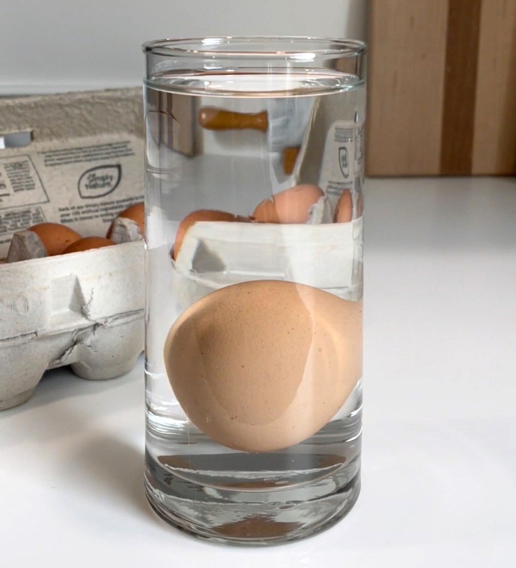clear drinking glass with water and fresh brown egg inside