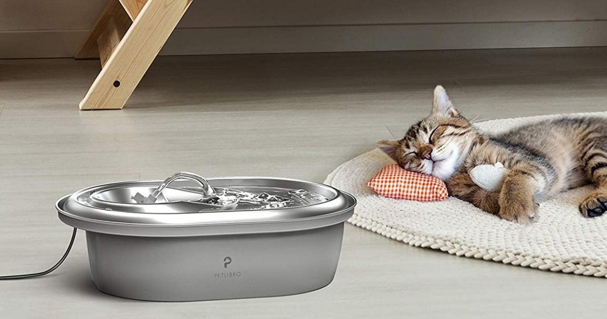 Up to 55% Off Automatic Pet Feeders & Fountains + Free Shipping on Amazon