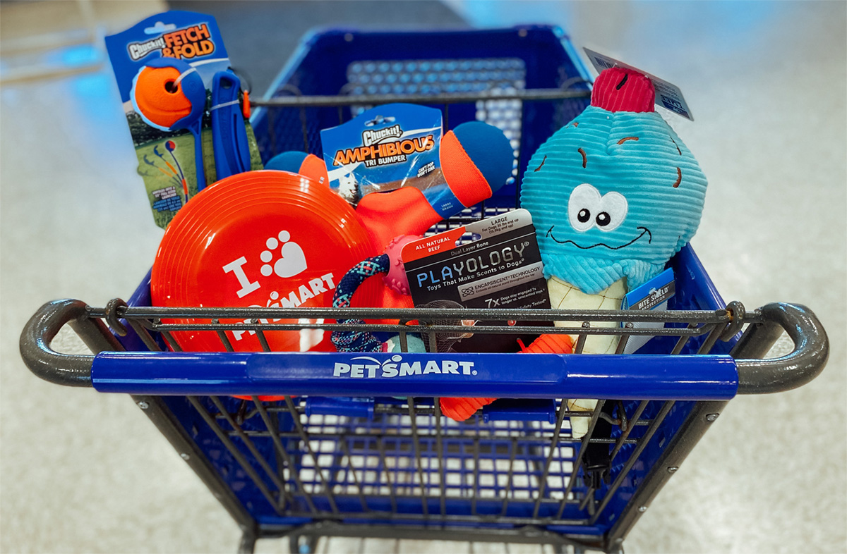 PETSMART BASKET of TREATS, TOYS & MORE – Silent Auction – Other