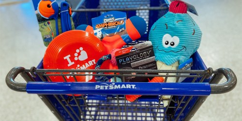 Buy 3, Get 2 FREE PetSmart Toys Sale | Items from $1.59 Each!