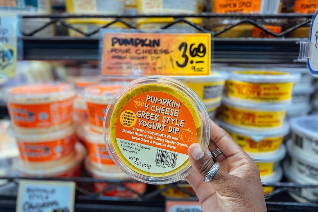 pumpkin 4-cheese Greek yogurt dip