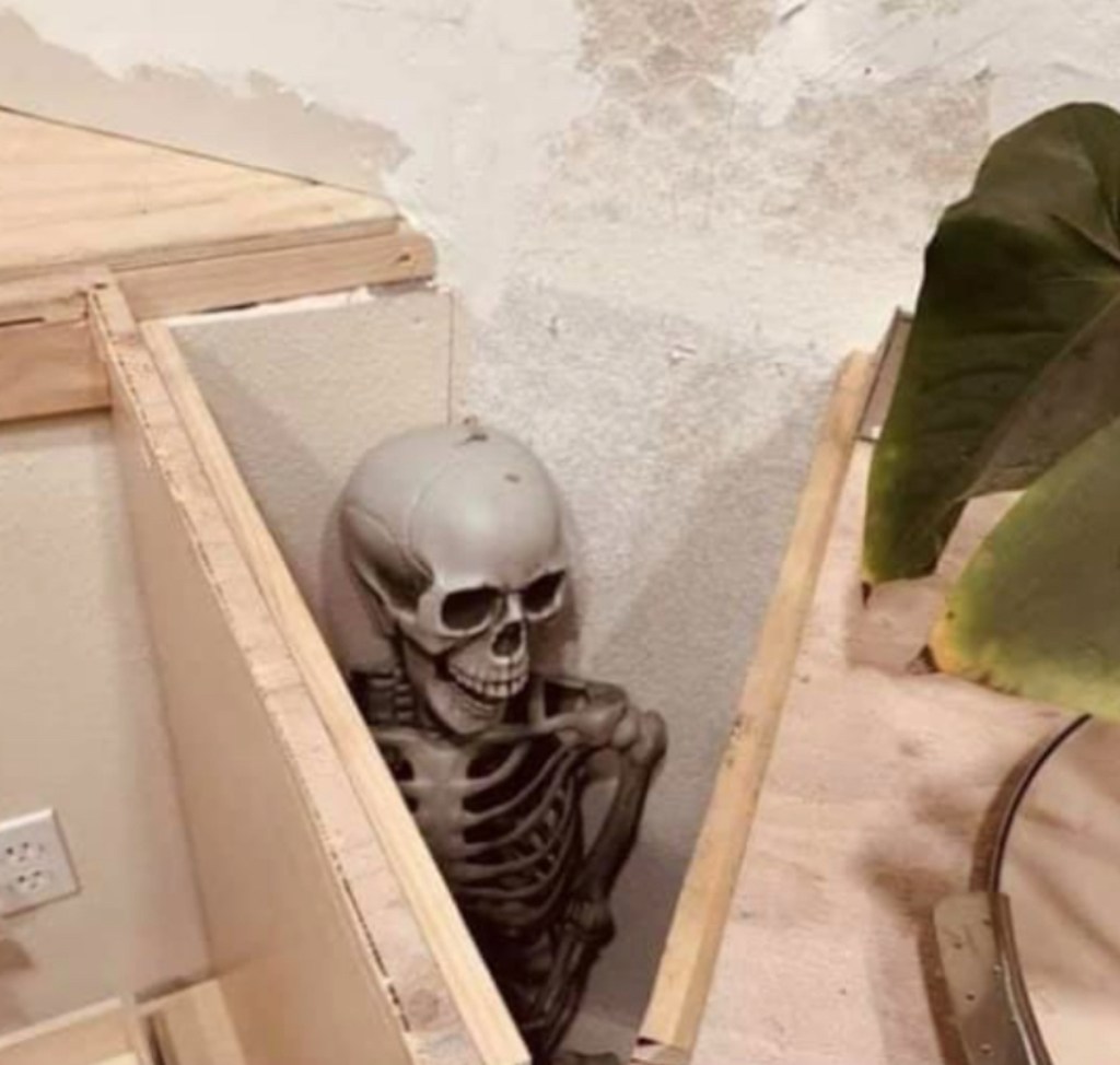 skeleton prop in kitchen remodel cabinets