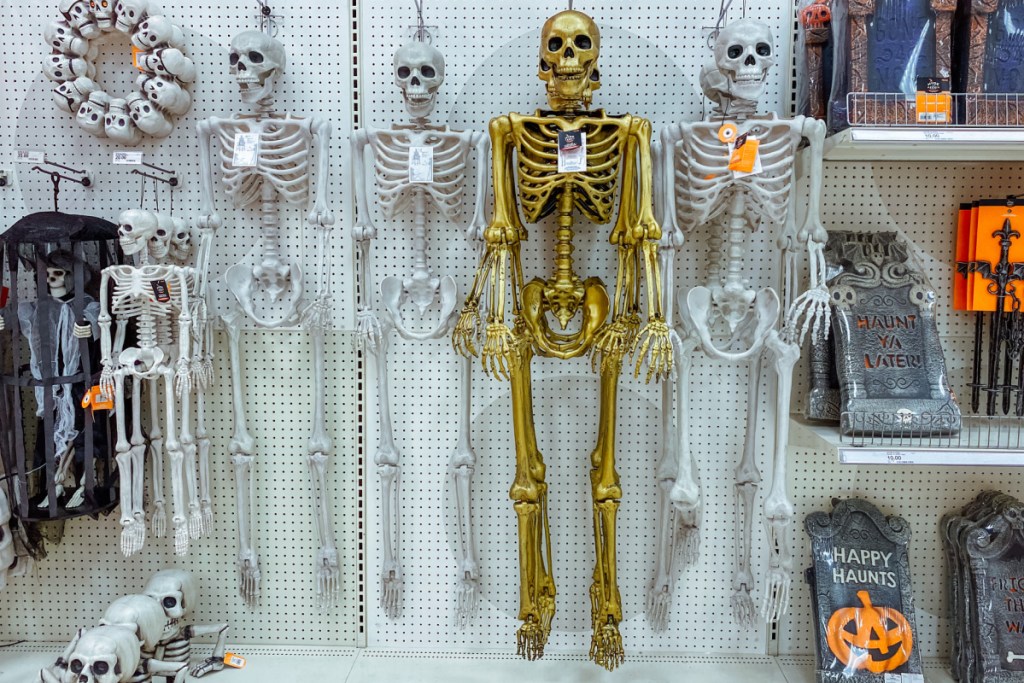 posable skeletons at target