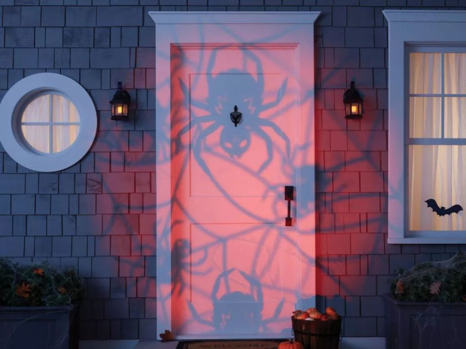 spider projection on front door