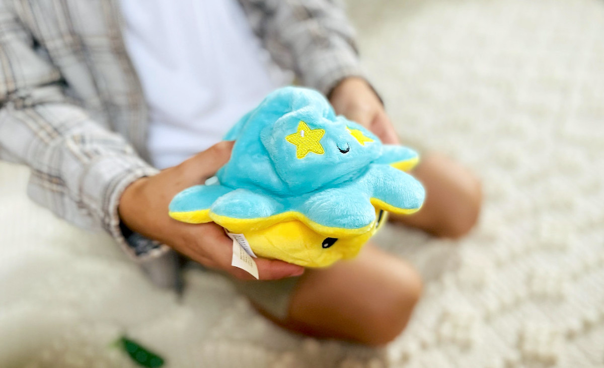 kid holding blue and yellow reversible plush teeturtle toy