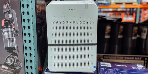 Winix Wi-Fi Air Purifier Just $103.98 Shipped on Costco.com (Regularly $130) | Includes 2-Year Supply of Filters