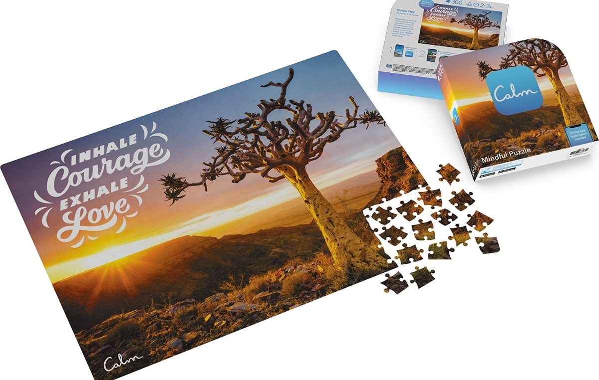 300-Piece Calm Quiver Tree Jigsaw Puzzle