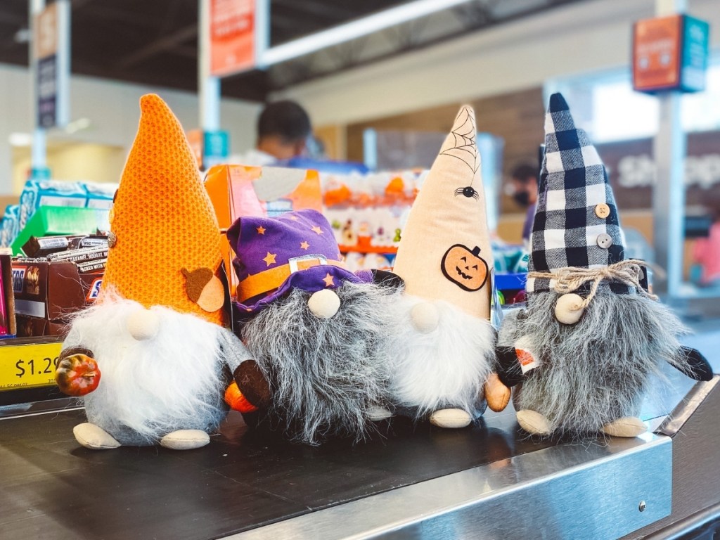 Adorable Fall Gnomes Only 7.99 at ALDI Hip2Save