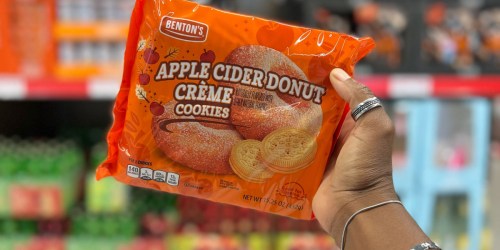 Our 13 Favorite Aldi Fall Finds | Apple Cider Cookies, Pumpkin Bundt Cakes, $4 Mums, & More
