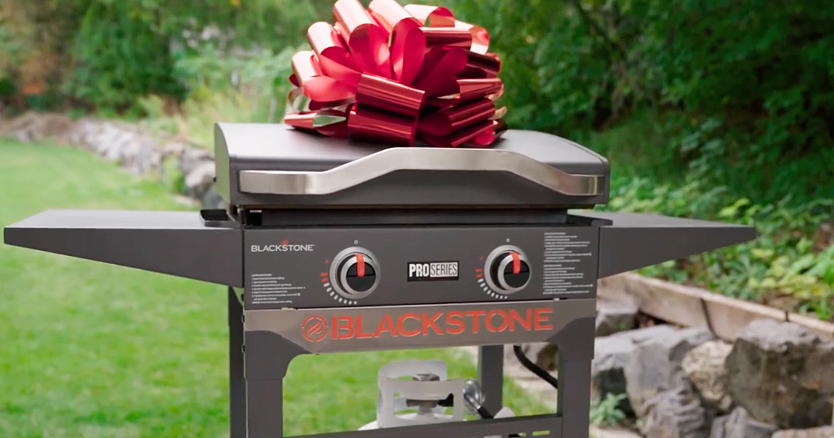 22 in 2024 blackstone griddle