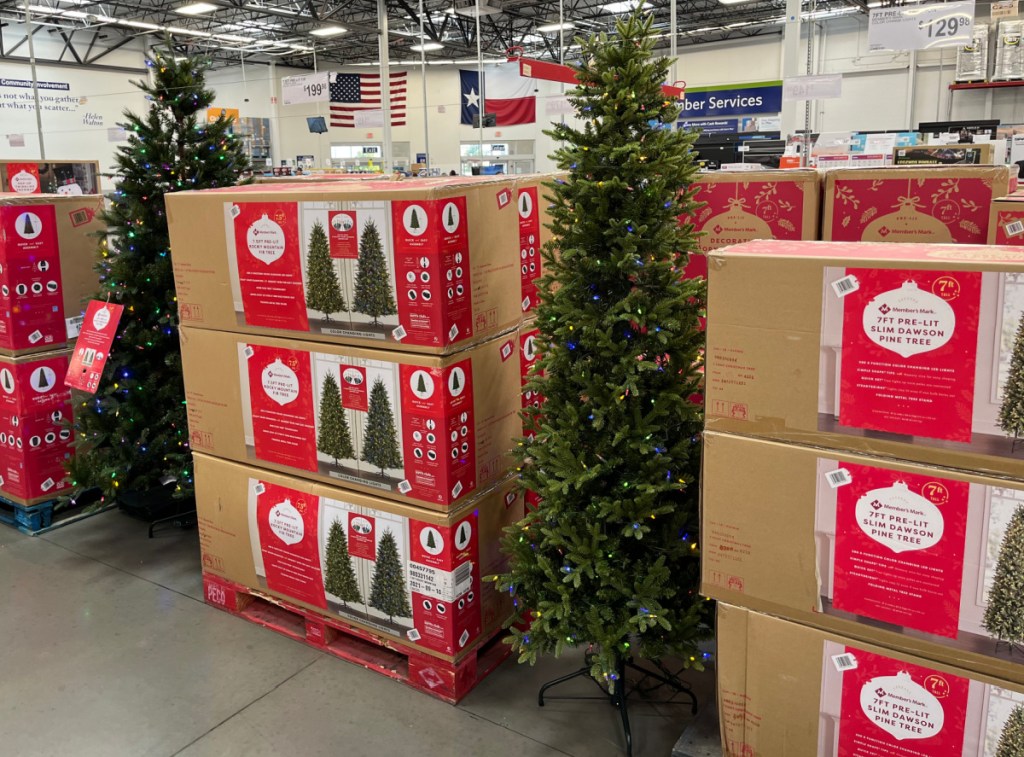 Large artificial christmas tree in box
