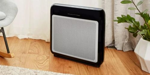 Air Purifier w/ True HEPA Filter Only $128 Shipped on Walmart.com (Regularly $229)