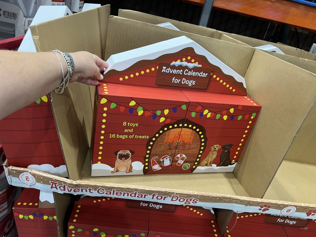 Advent Calendar for Dogs Just $35.99 at Costco  Includes 8 Toys & 16 