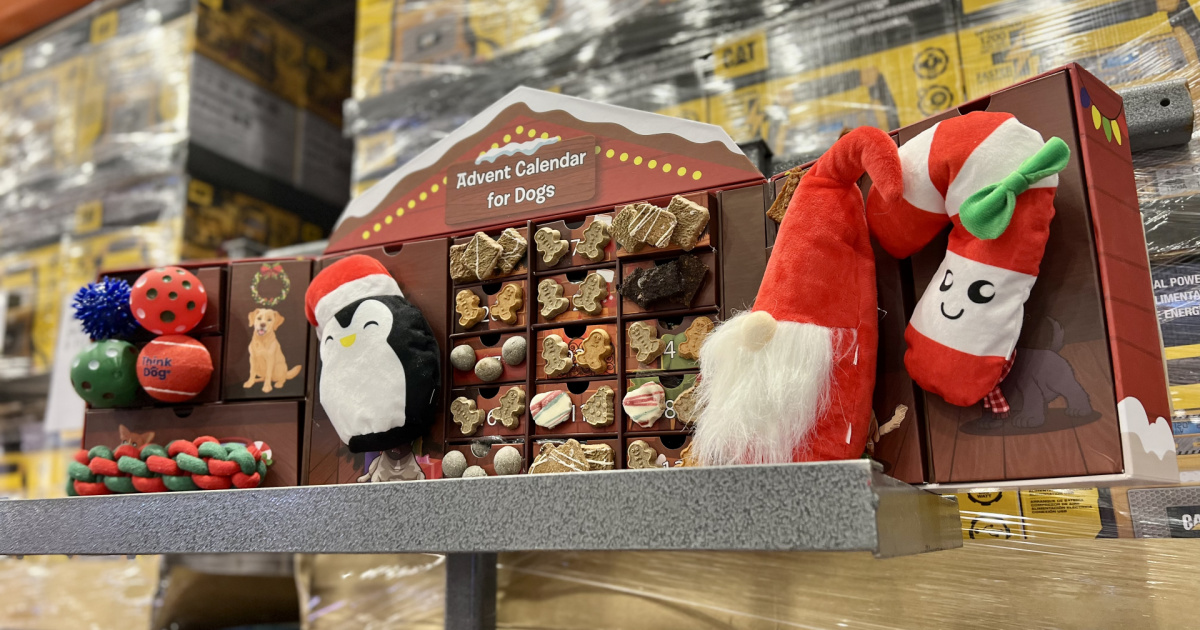 Advent Calendar for Dogs Just $35.99 at Costco | Includes 8 Toys & 16 Bags of Treats | Hip2Save Advent Calendar for Dogs Just $35.99 at Costco | Includes 8 Toys & 16 Bags of Treats | Hip2Save