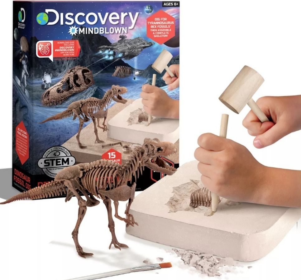 Discovery Dinosaur Excavation