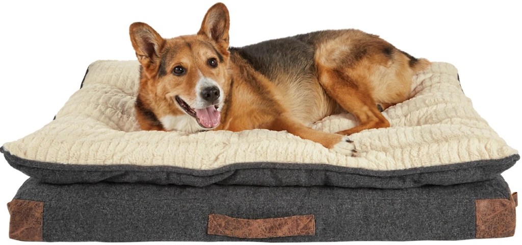 Dog Bed from Petco