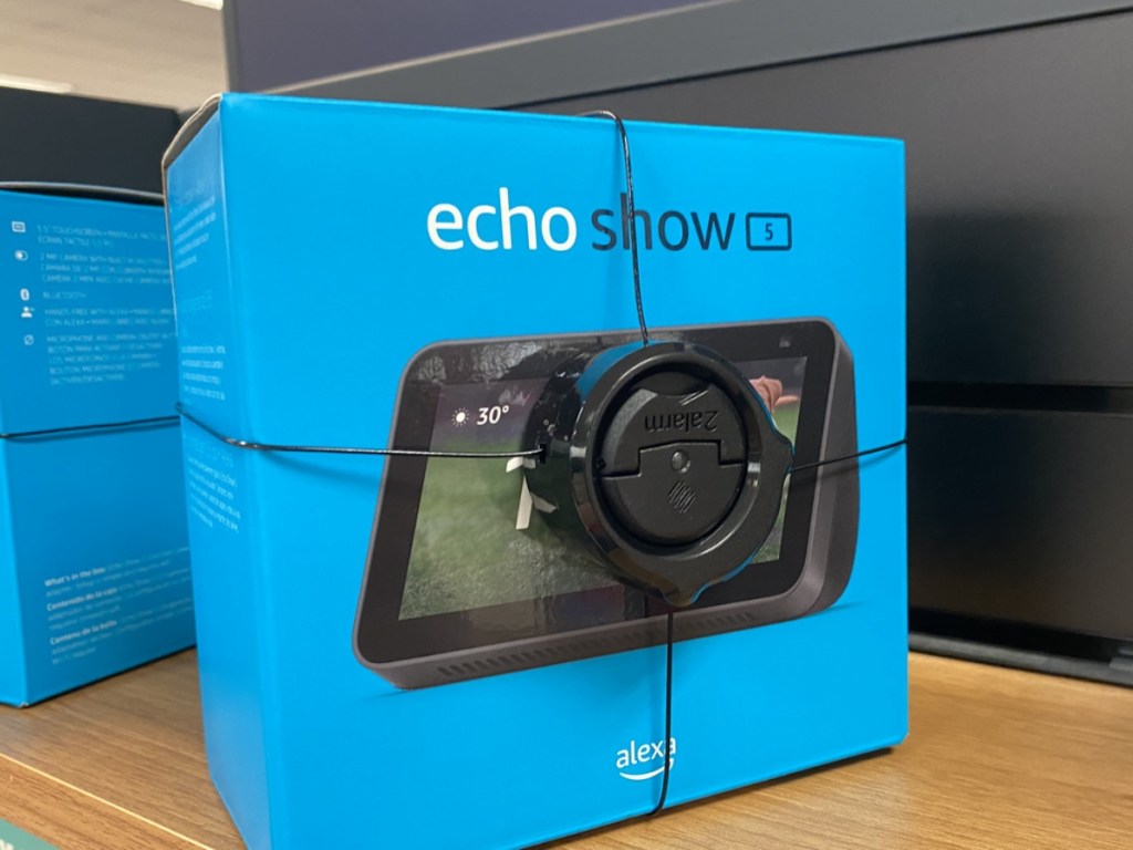 Echo Show in box