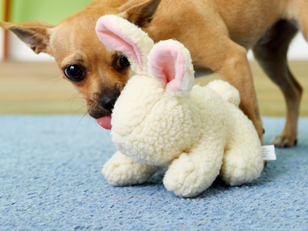 small dog with ethical pet fleece squeaky rabbit dog toy