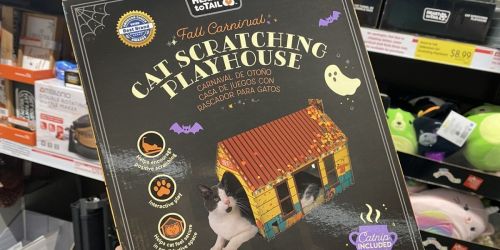 Halloween & Fall Cat Scratching Playhouses w/ Catnip Only $8.99 at ALDI + More Pet Deals