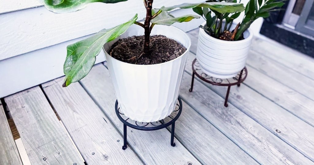 plants in white pots on plant stands