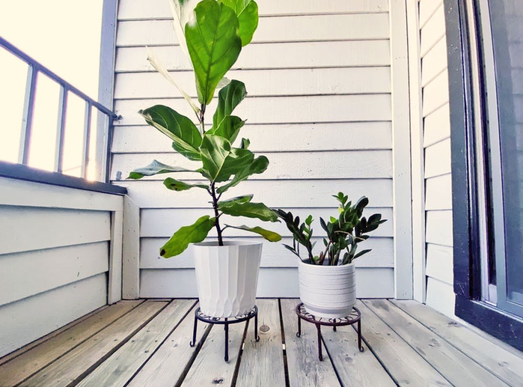 two plants on plant stands on balcony