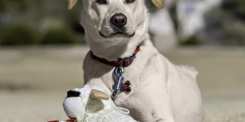 Lamb Chop Dog Toy JUST $1.49 Shipped on Amazon | May Sell Out!