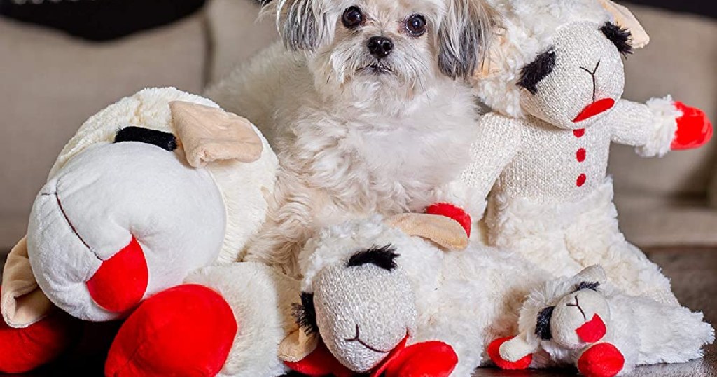 dog surrounded by lampchop dog toys