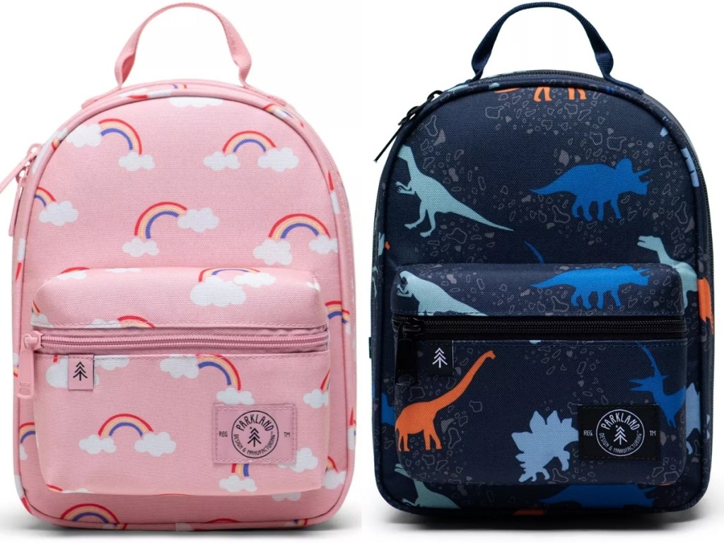 parkland rodeo lunch bag with rainbows and dinosaurs