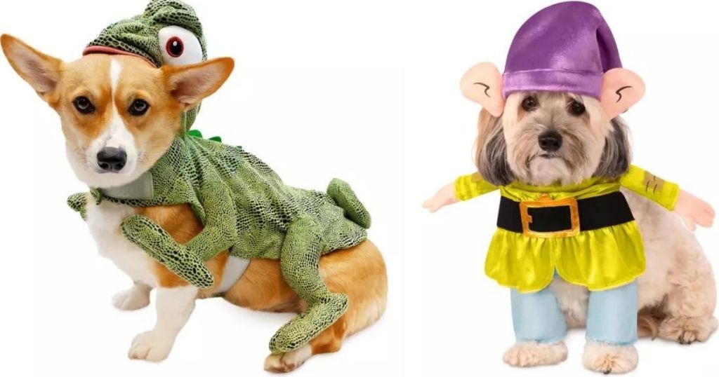 two dogs wearing Pascal and Dopey Pet Costumes