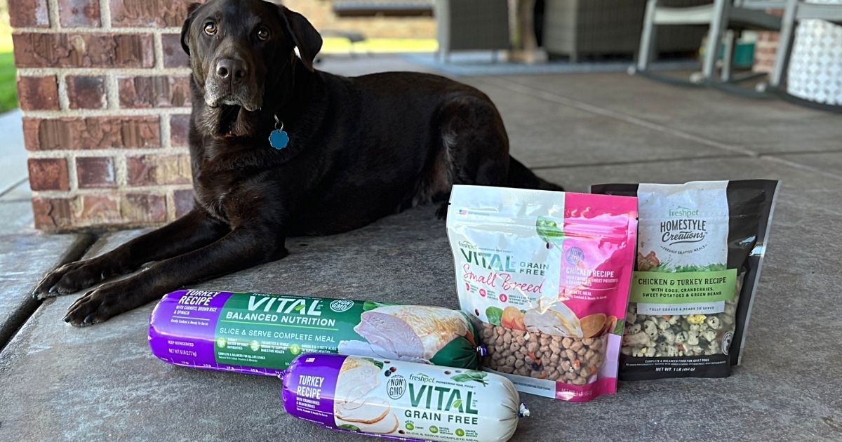 Vital dog hot sale food petsmart