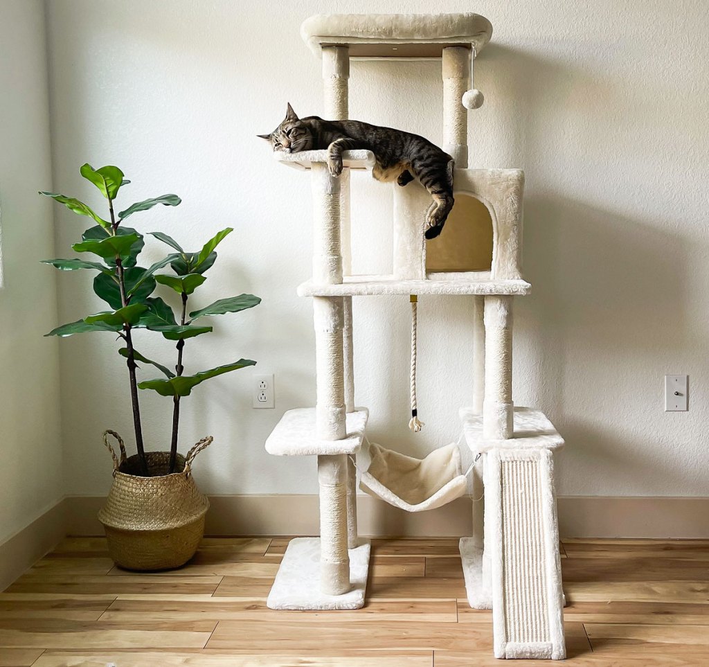 cat laying on perch of a cat tree