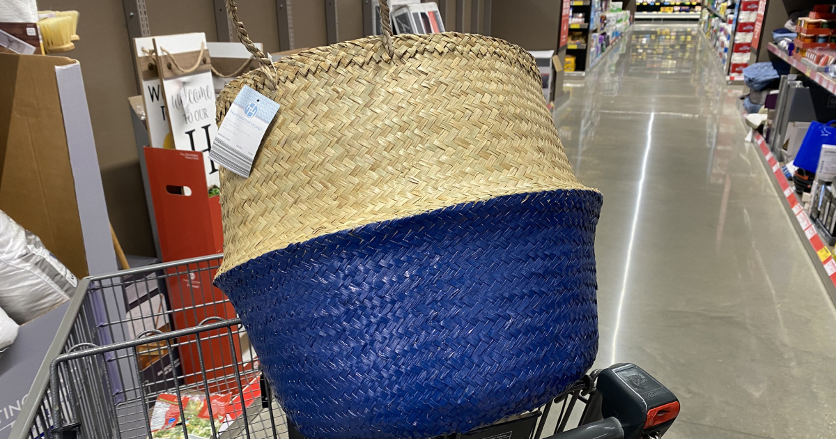 Trendy Pop-Up Baskets Just $12.99 at ALDI