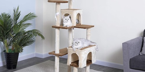 *HOT* $20 Off $49 Petco Promo Code | Cat Tree House Just $33 Shipped (Reg. $95)