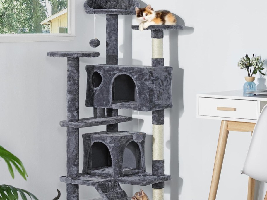 cat home with two areas to climb