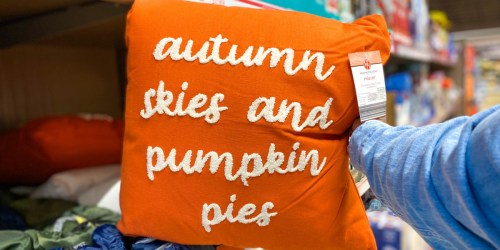 Huntington Home Fall & Thanksgiving Accent Pillows Only $7.99 at ALDI
