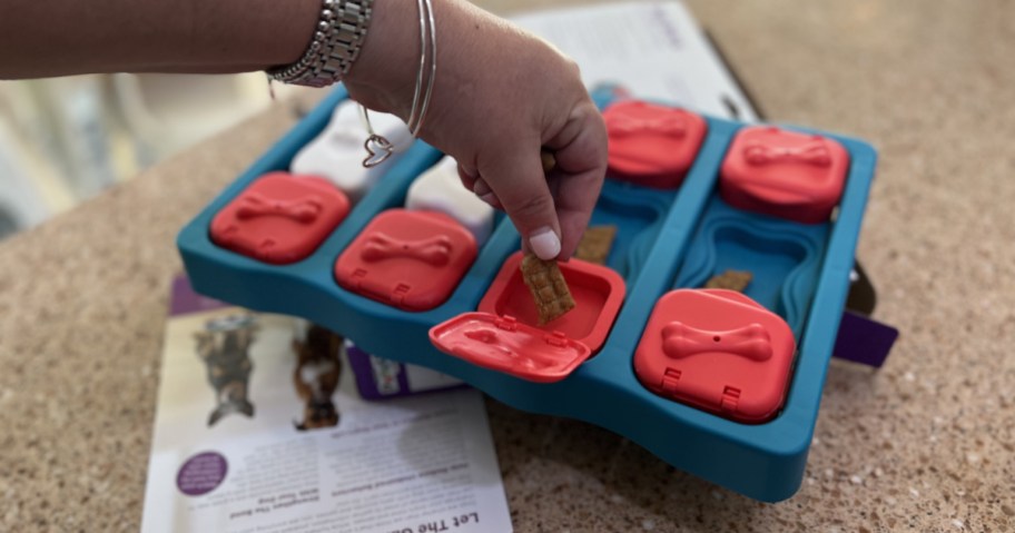 hand filling a puzzle dog toy with treats