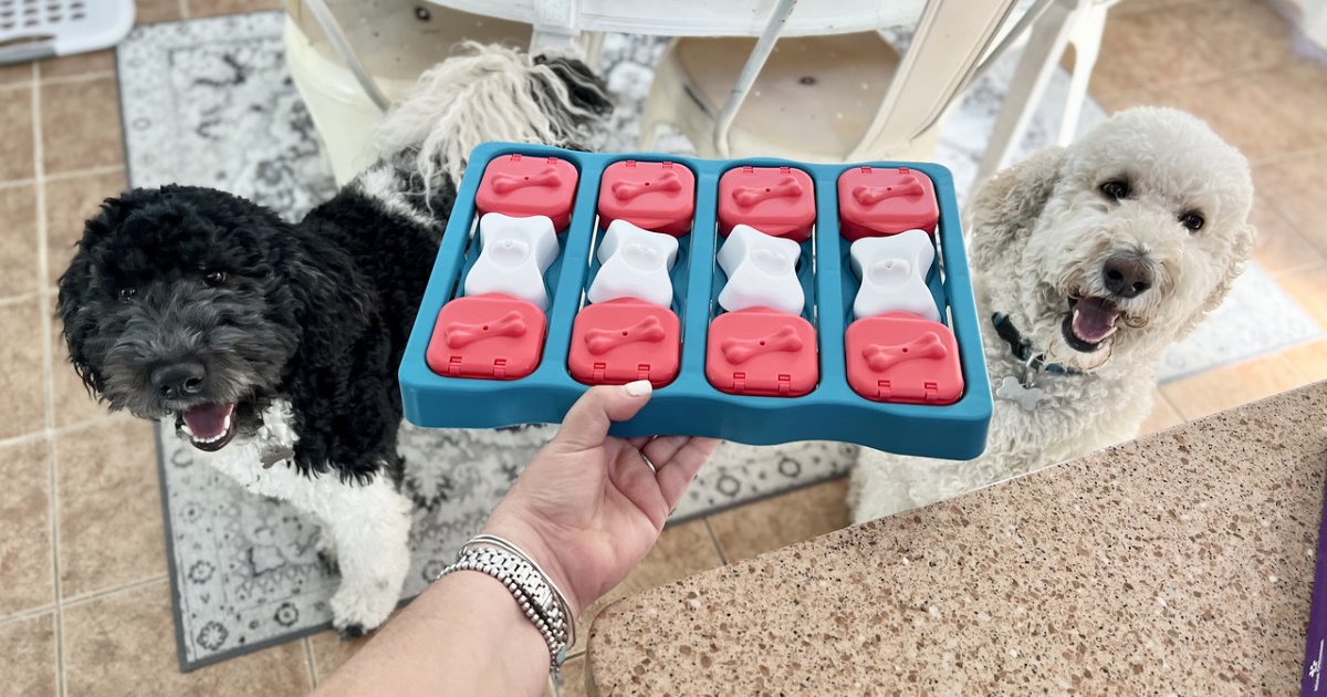 Outward Hound Dog Puzzle Toy Only 7 on Amazon (Reg. 20) Great
