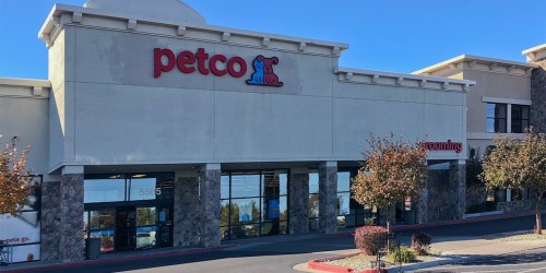 Petco Black Friday Sale LIVE | 50% Off Pet Toys & Beds, 50% Off Aquariums & Much More