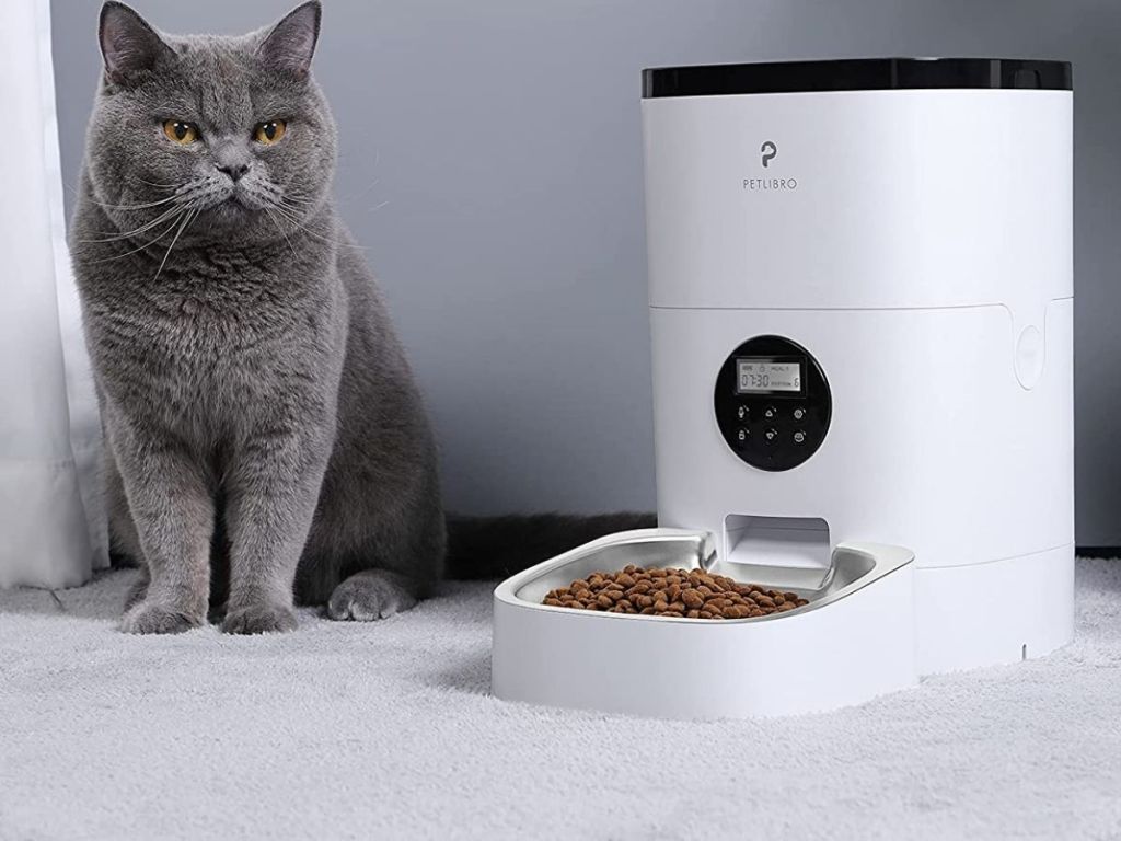 cat standing next to PetLibro automatic pet feeder
