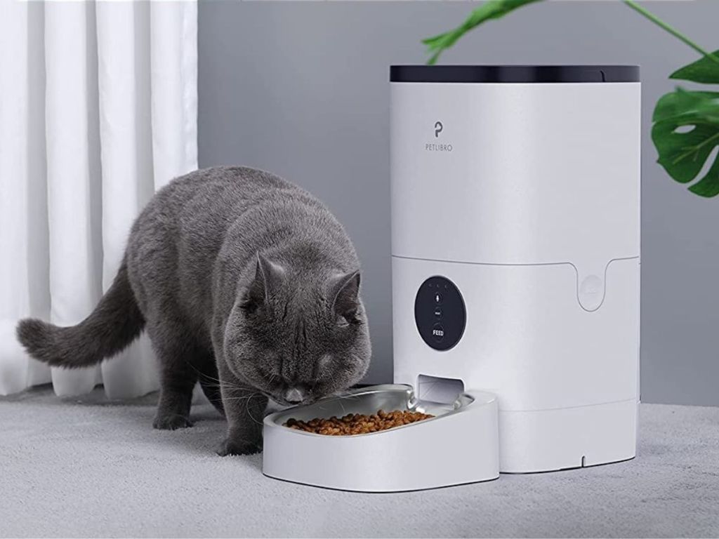 cat using PetLibro Automatic Pet Feeder w/ WiFi & Stainless Steel Food Bowl