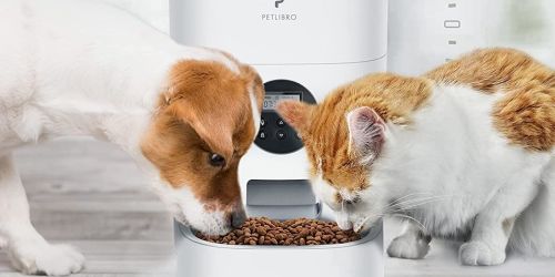 Automatic Pet Feeders from $55.99 Shipped on Amazon | Perfect for Travel & Portion Control