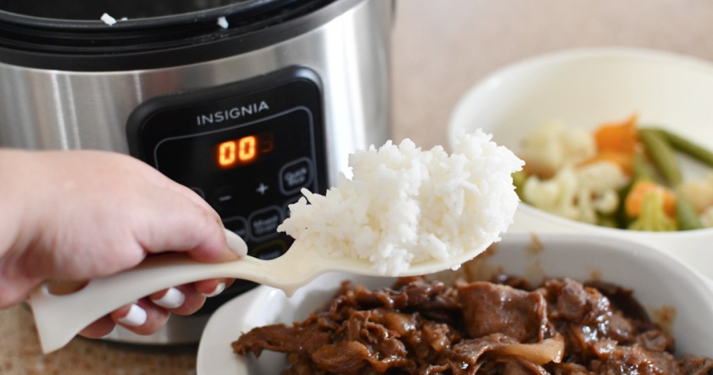 insignia rice cooker 
