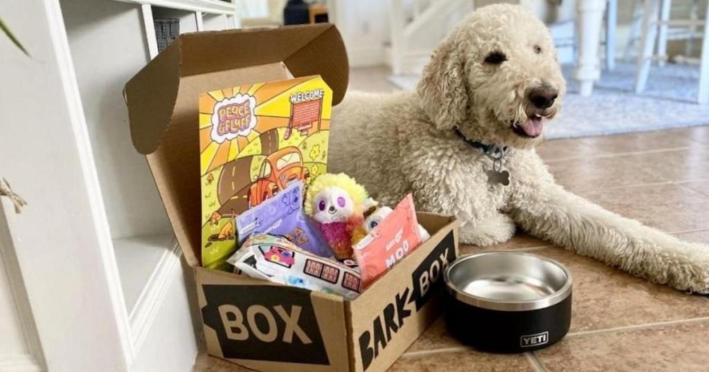 barkbox with toys and yeti bowl with dog