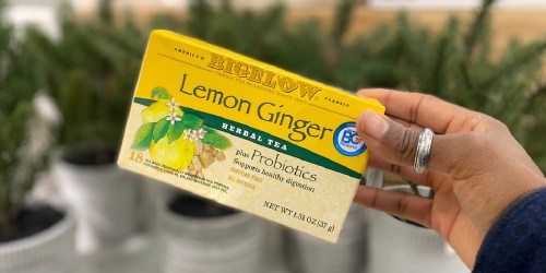 Bigelow Teas Only $1.25 at Target (In-Store & Online)
