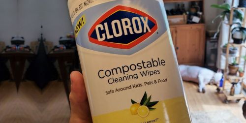 Clorox Compostable Cleaning Wipes 225-Count Only $10.93 Shipped on Amazon