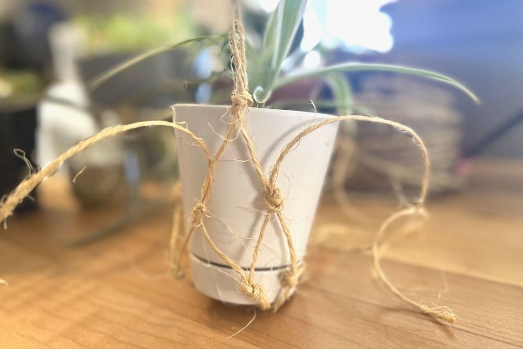 potted plant sitting in DIY macrame plant holder