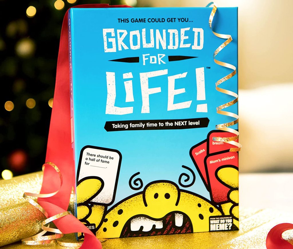 grounded for life game box