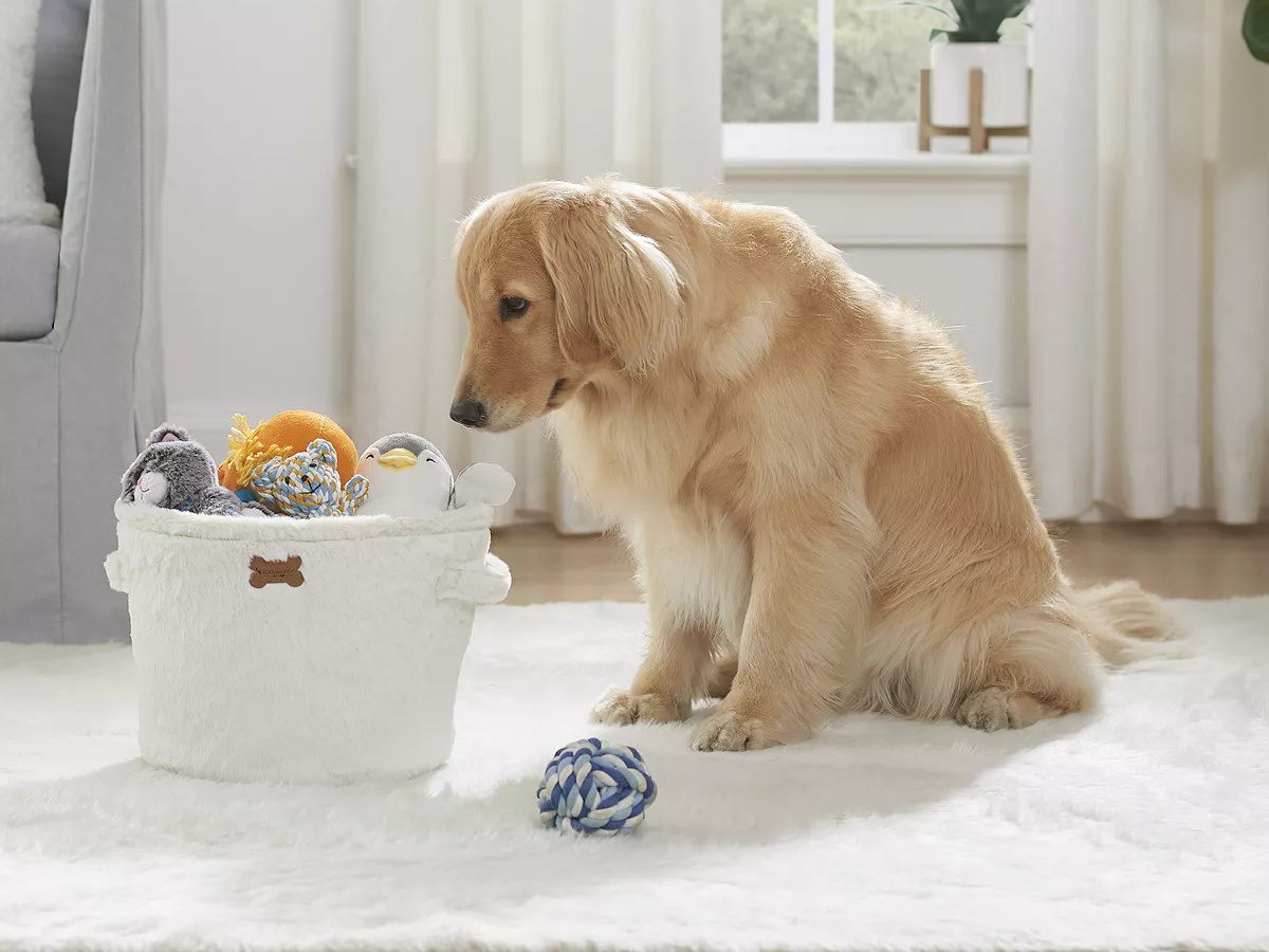 ugg blanket for dogs